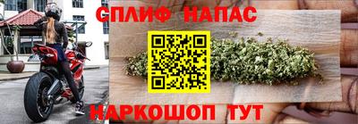 кокс Можга