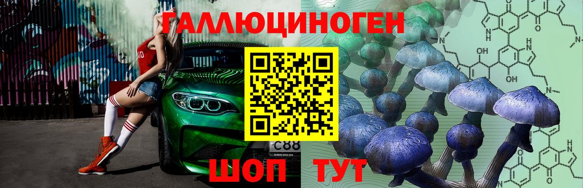 Гагарин  Галлюциногенные грибы Psilocybe  Вход с VPN 